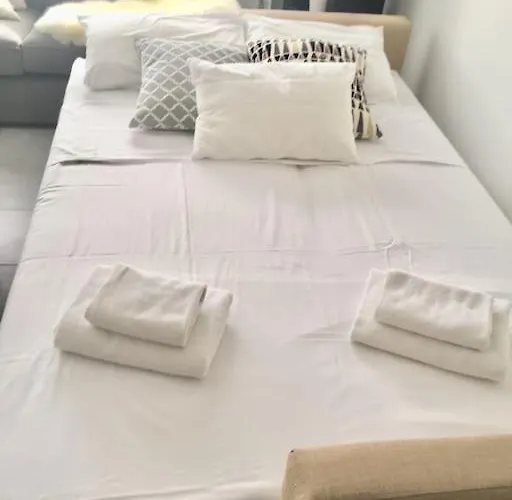 公寓 Niove Budget One-bedroom 帕拉利米尼